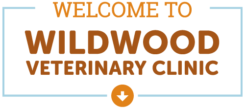 Welcome to Wildwood Veterinary Clinic